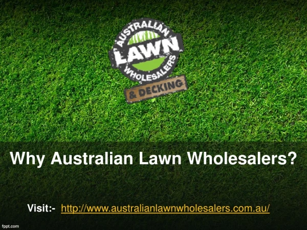 Why Australian Lawn Wholesalers?