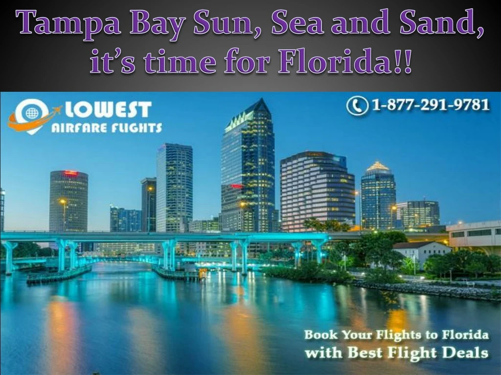 tampa bay sun sea and sand it s time for florida