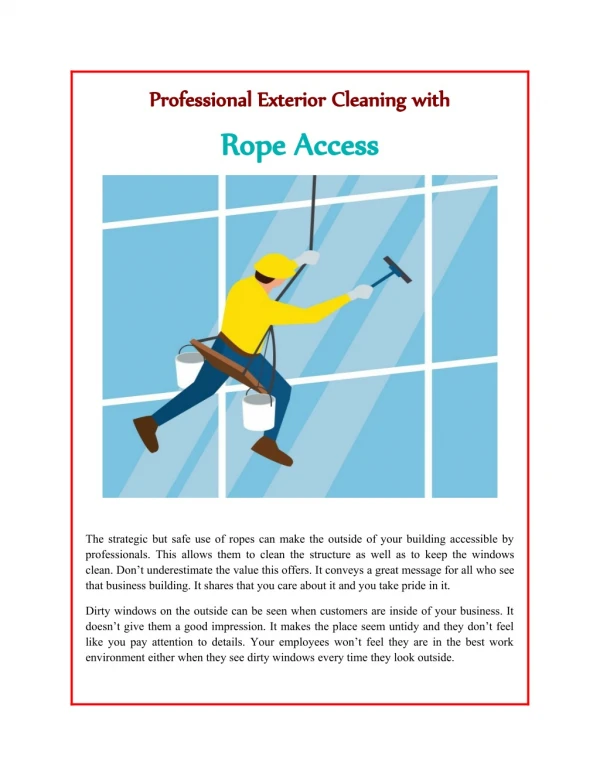 Professional Exterior Cleaning with Rope Access