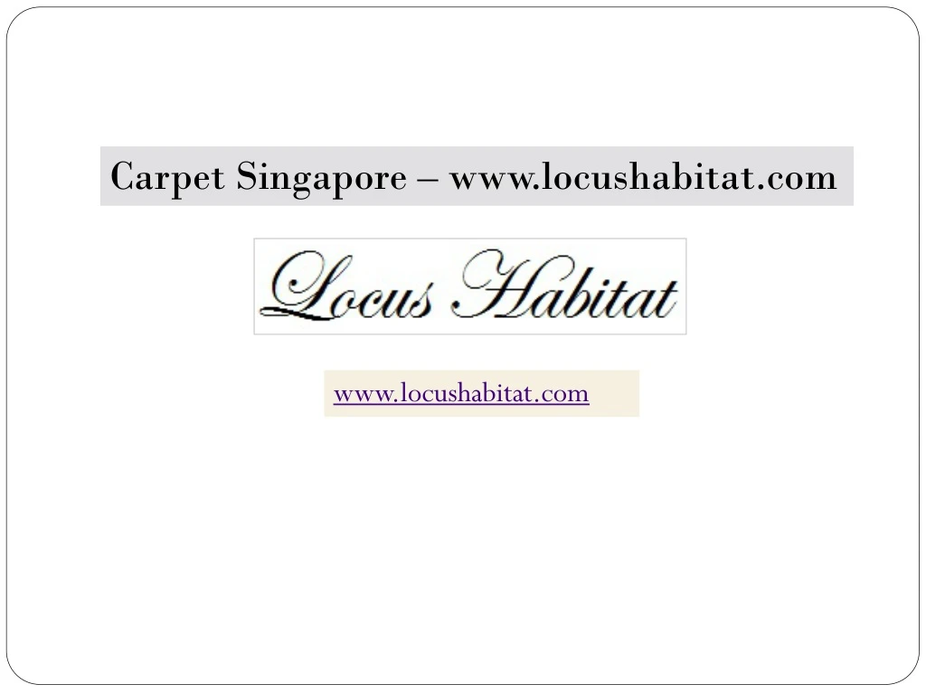 carpet singapore www locushabitat com