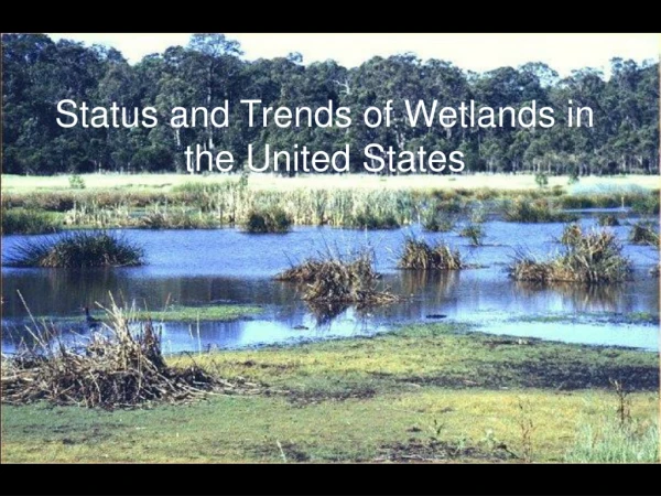 Status and Trends of Wetlands in the United States