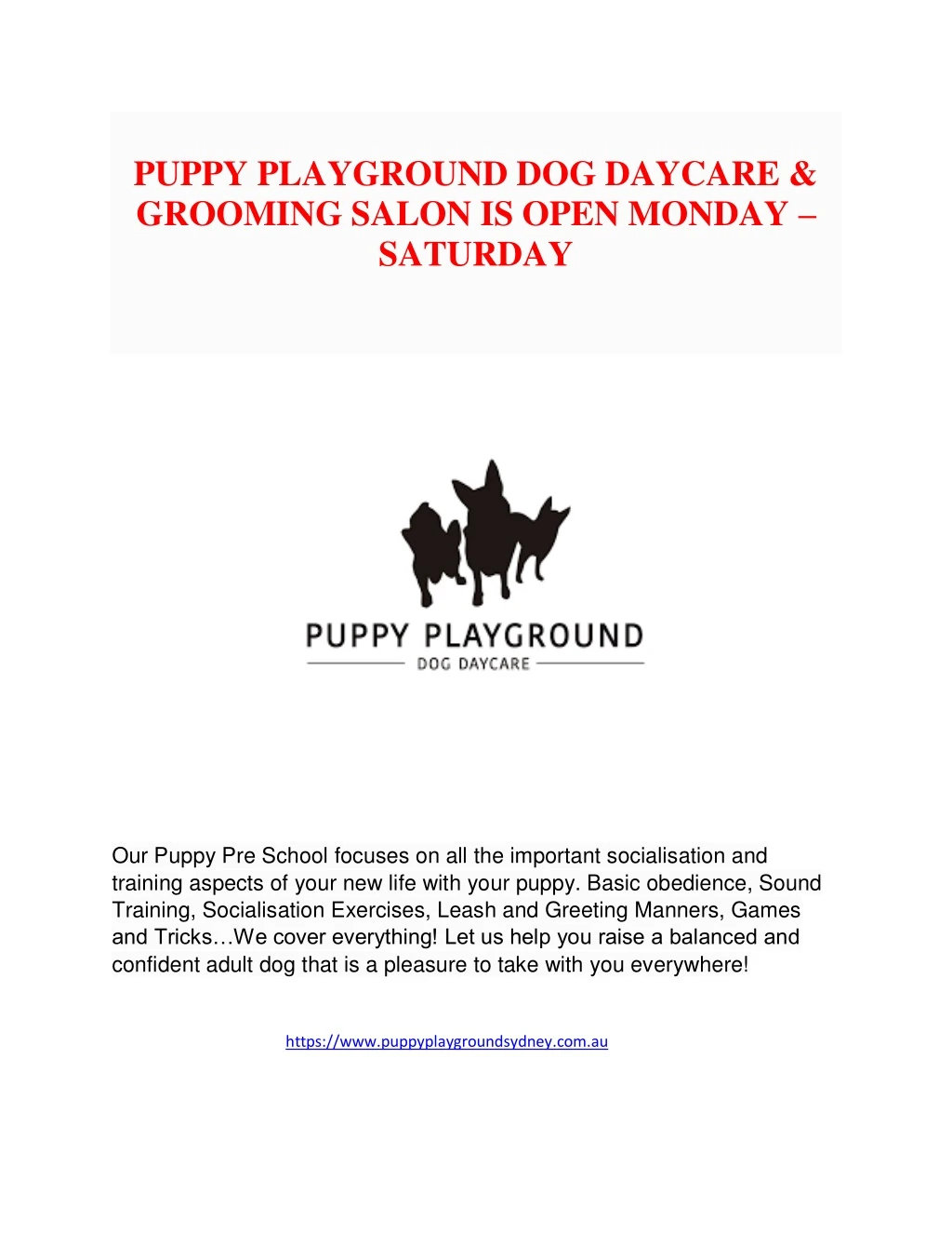 puppy playground dog daycare grooming salon