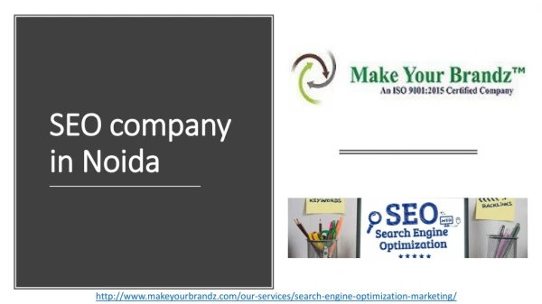 SEO company in Noida- Make Your Brandz