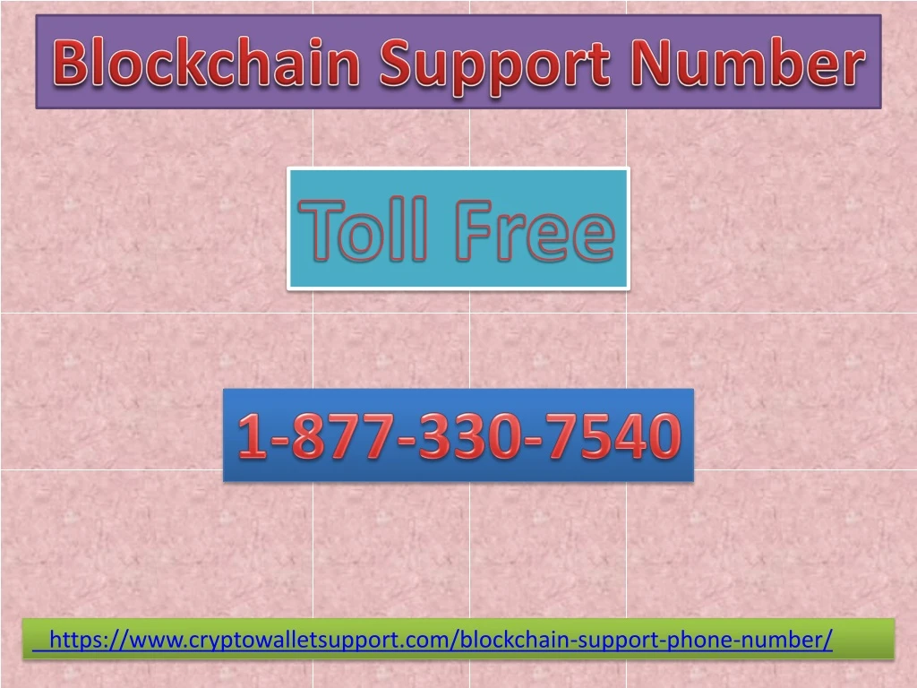 blockchain s upport number