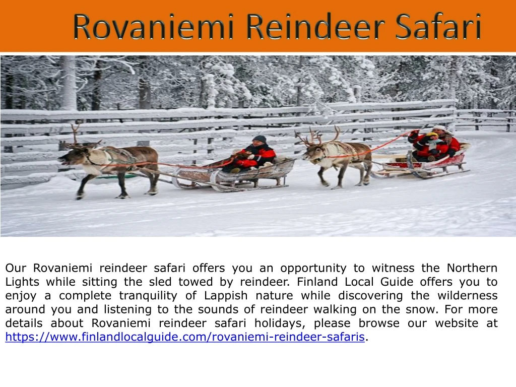 our rovaniemi reindeer safari offers