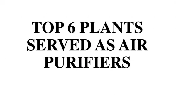 Top 6 plants that used as air purifiers