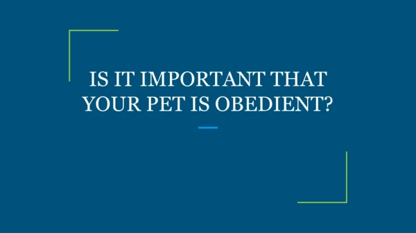 IS IT IMPORTANT THAT YOUR PET IS OBEDIENT?