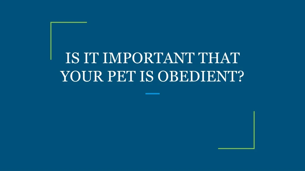 is it important that your pet is obedient