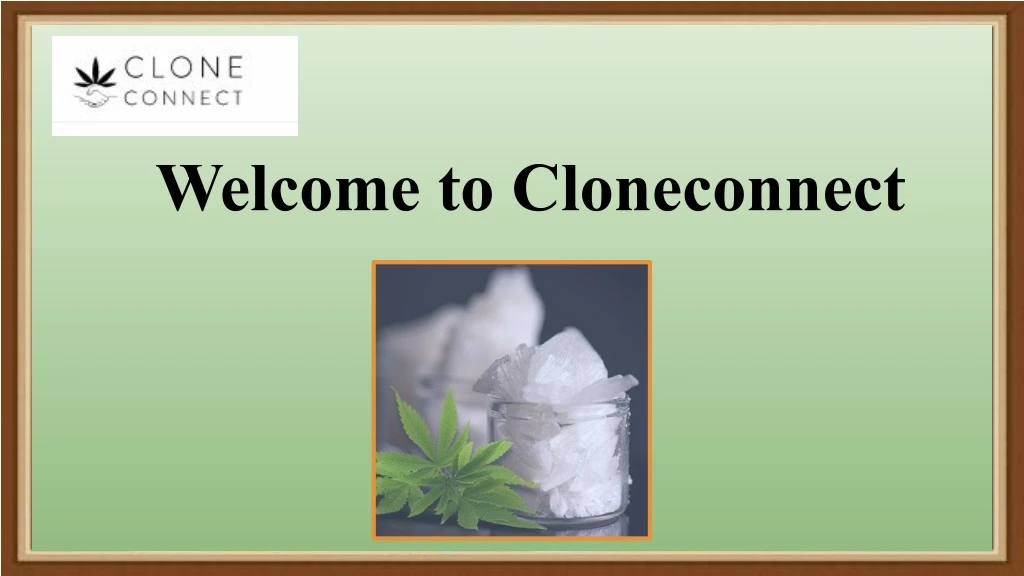 welcome to cloneconnect