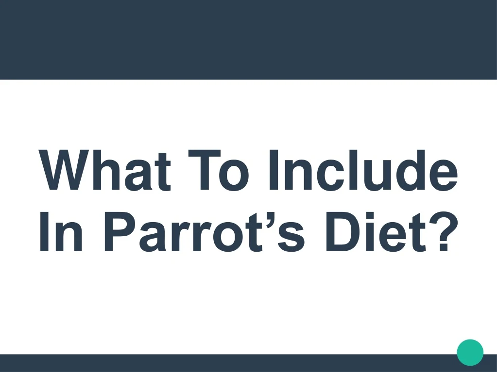 what to include in parrot s diet