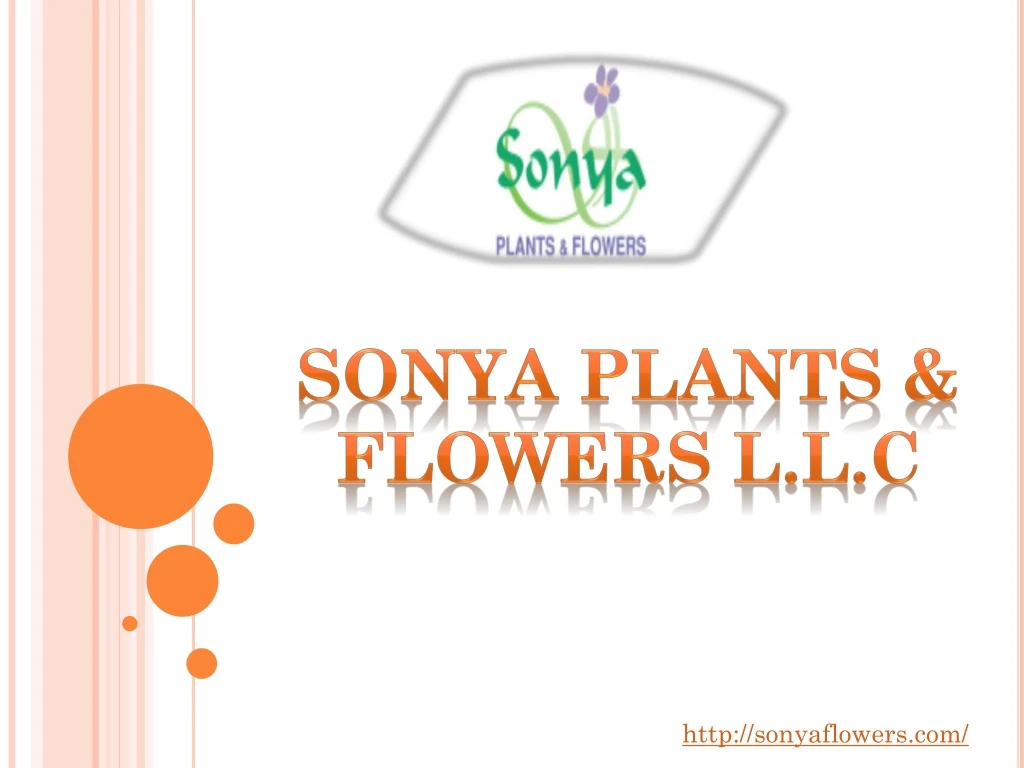 sonya plants flowers l l c