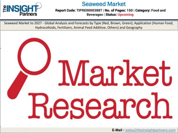 Seaweed Market Insight 2019