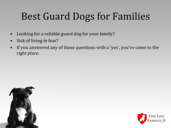 Best Guard Dogs for Families