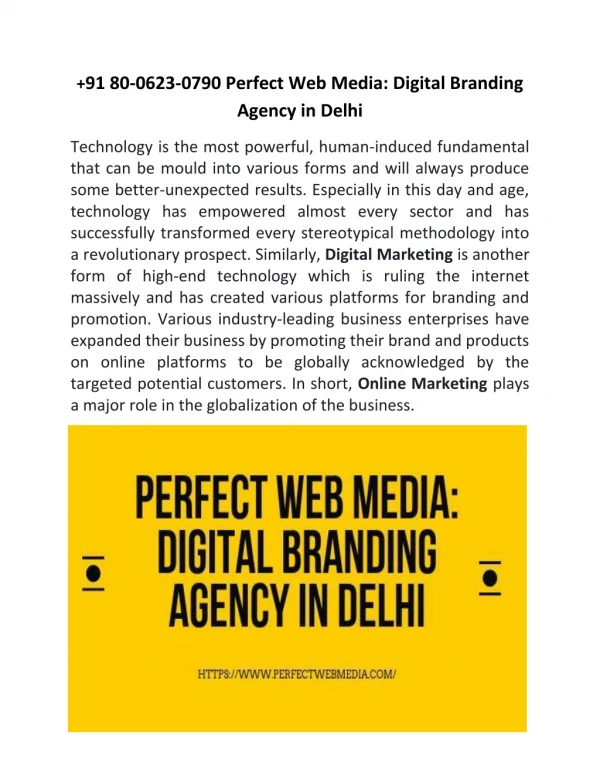 91 80-0623-0790 Digital Branding Agency in Delhi : Perfect Web Media