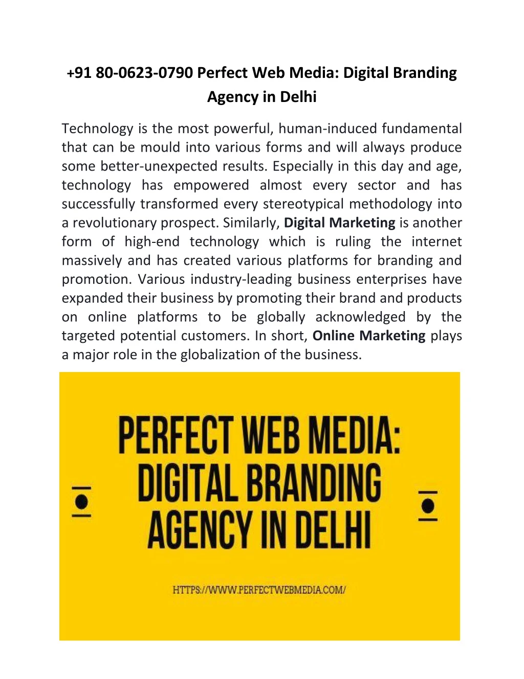 91 80 0623 0790 perfect web media digital