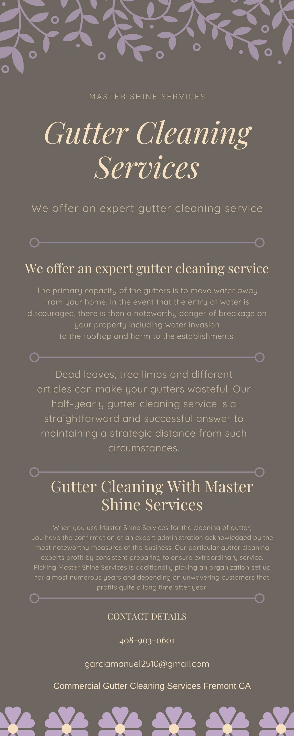 master shine services