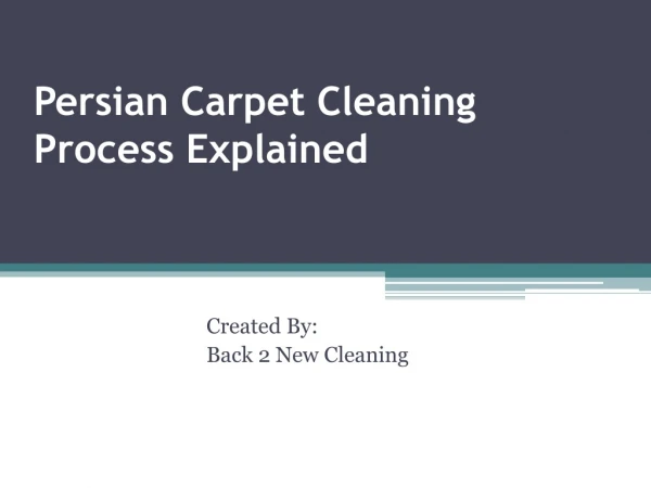 Persian Carpet Cleaning Process Explained