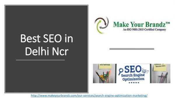 Best SEO in Delhi Ncr- Make Your Brandz