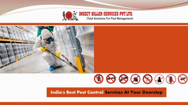 IKS Top Pest Control Service | Bayer Pest Expert Service Provider | In Jaipur, India