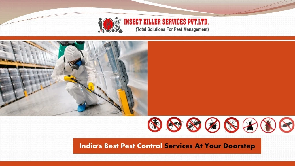 india s best pest control services at your