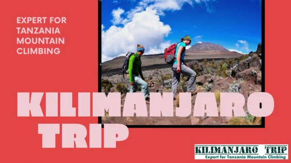 Kilimanjaro Trip