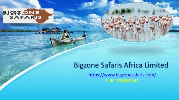 Bigzone Safaris Africa Limited