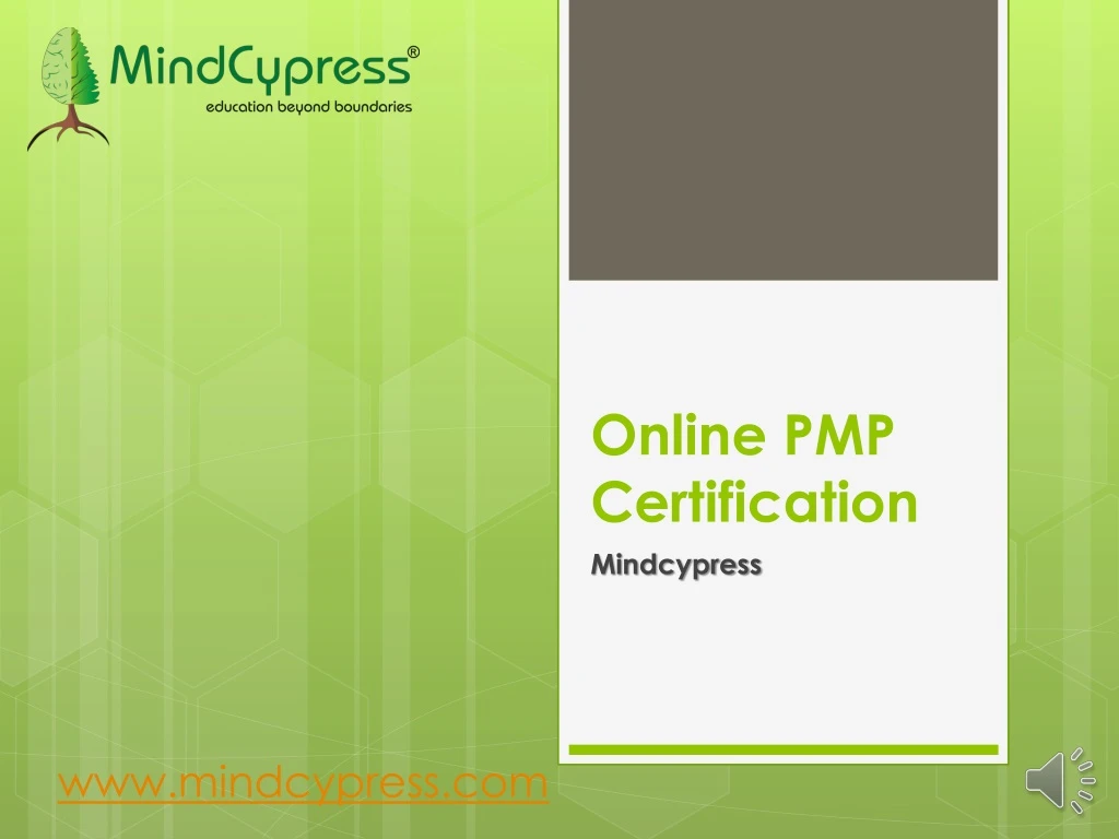 online pmp certification