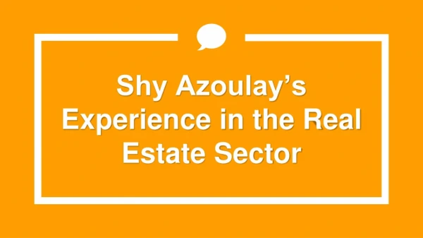 Shy Azoulay’s Experience in the Real Estate Sector