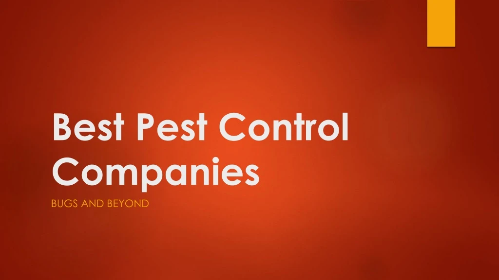 best pest control companies