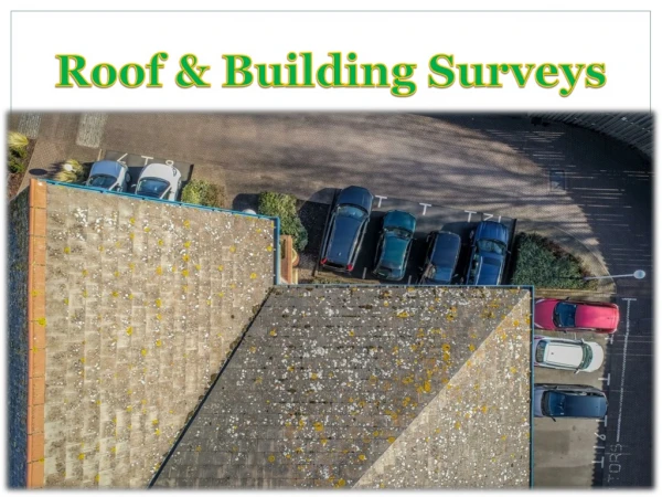 Roof & Building Surveys