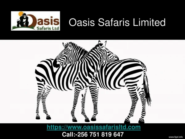 Oasis Safaris Limited