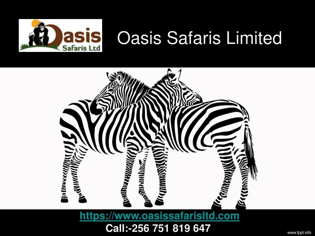 oasis safaris limited