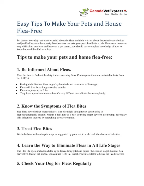 Easy Tips To Make Your Pets and House Flea-Free