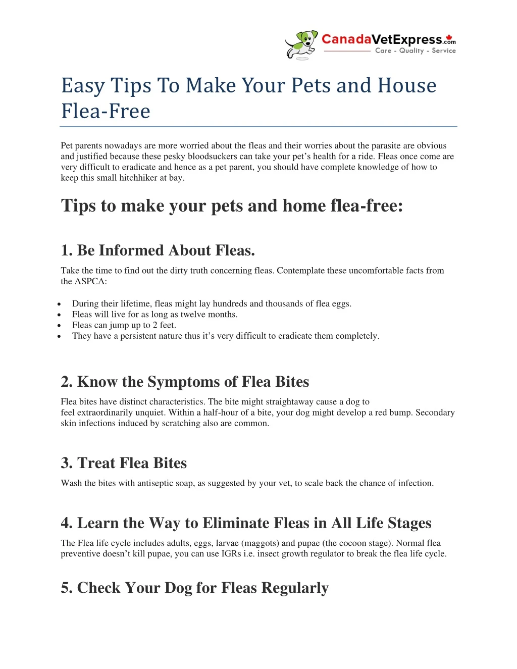 easy tips to make your pets and house flea free