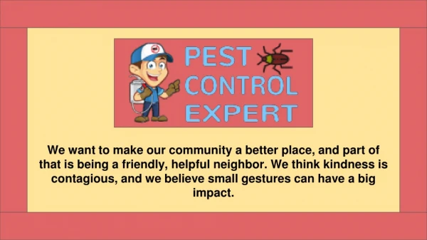 Pest Control Company - Pest Control Expert