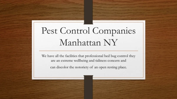 Bed Bugs Control Company Near Me Manhattan NY