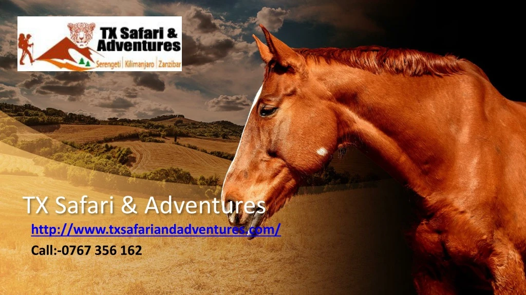 tx safari adventures http