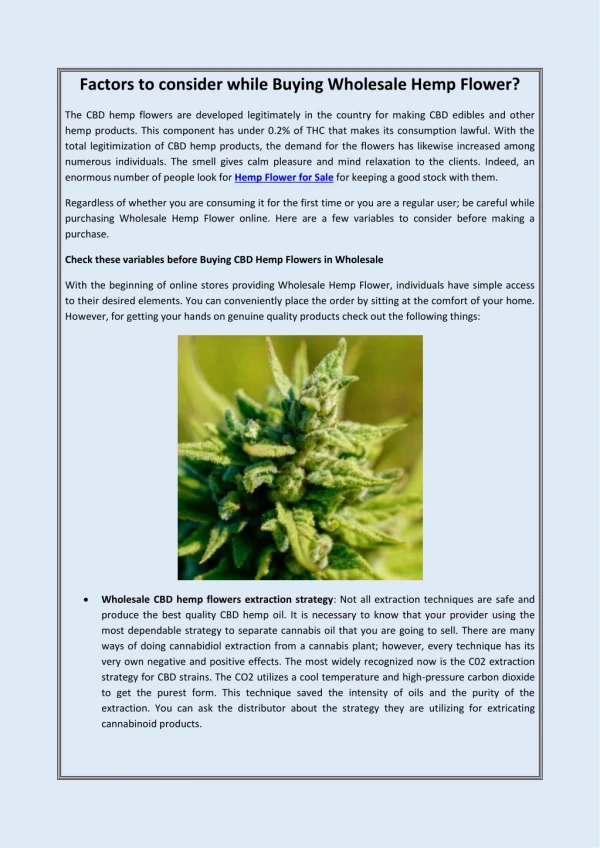 Factors to consider while Buying Wholesale Hemp Flower