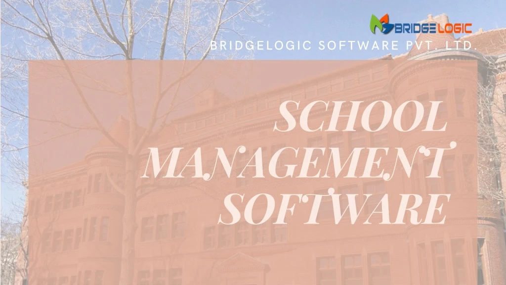 bridgelogic software pvt ltd