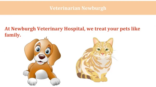 Best Veterinary Hospital in Newburgh