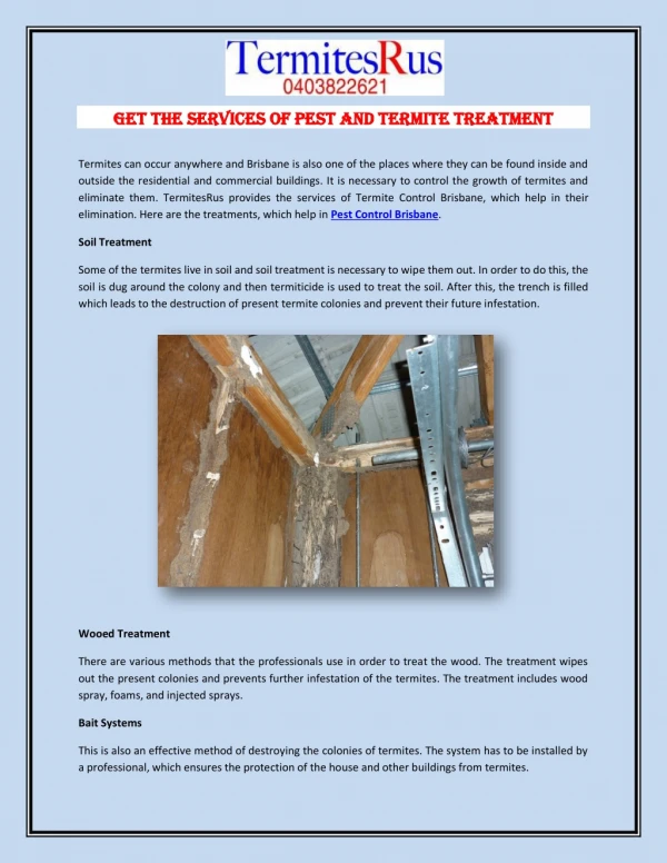 Get the Services of Pest and Termite Treatment