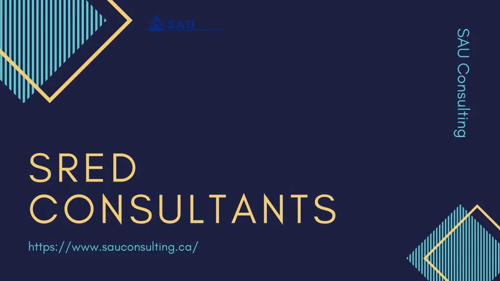 sau consulting