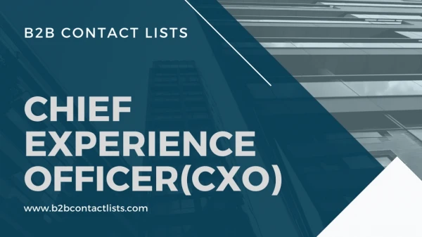 Free Chief Experience Officer in USA