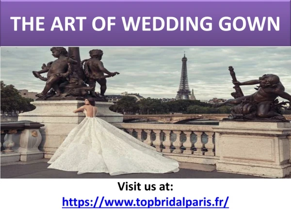 Paris wedding dress