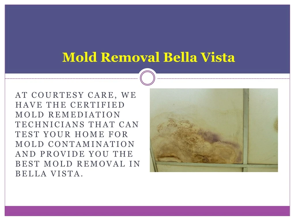 mold removal bella vista