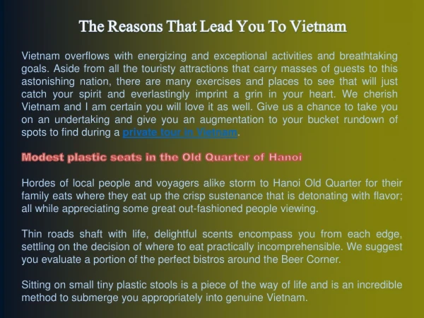 The Reasons That Lead You To Vietnam