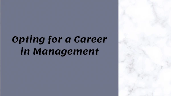 Opting for a Career in Management