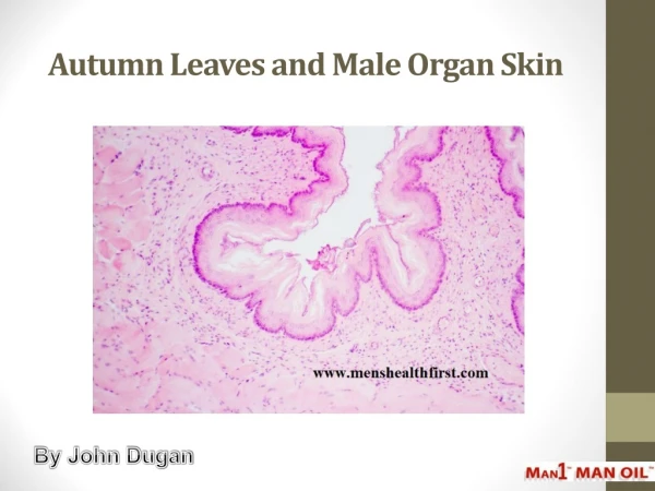 Autumn Leaves and Male Organ Skin