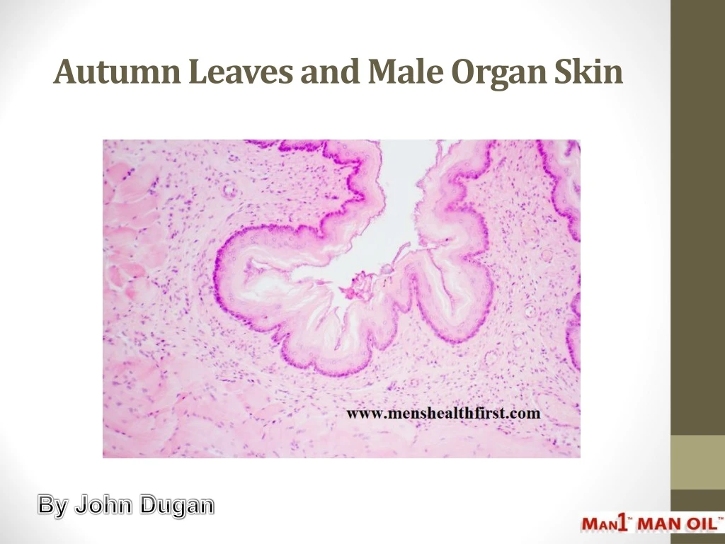 autumn leaves and male organ skin