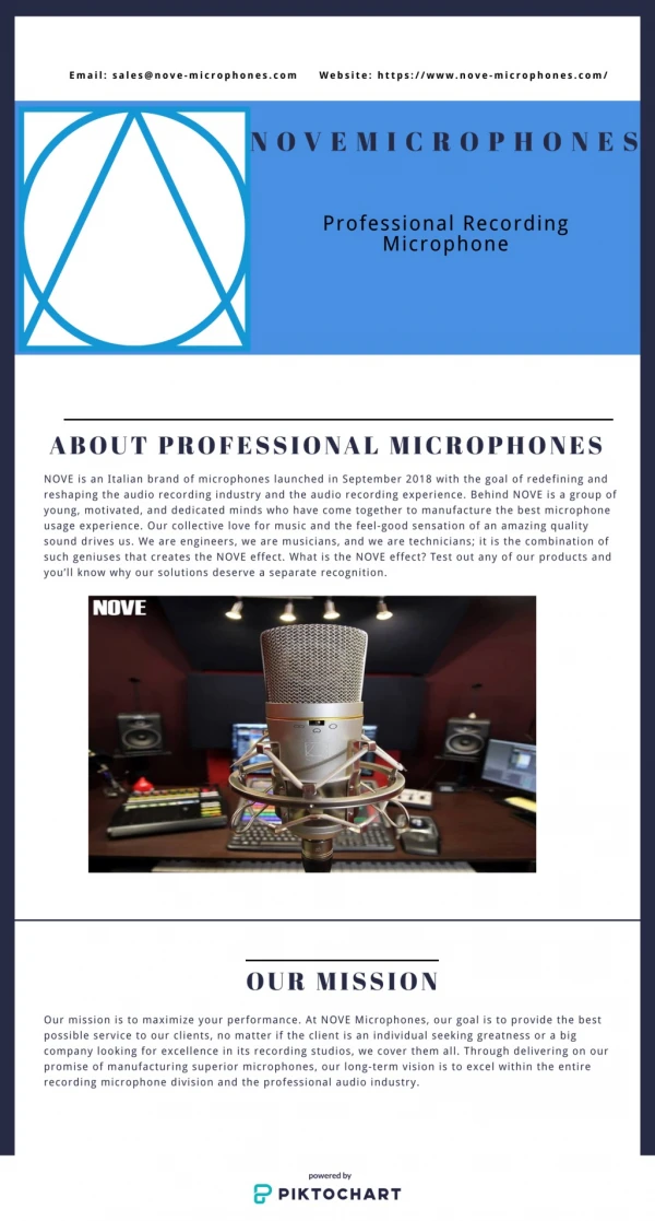 Professional Recording Microphone